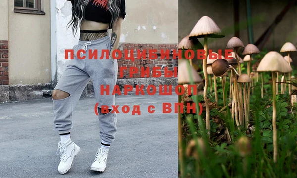 гидра Алзамай